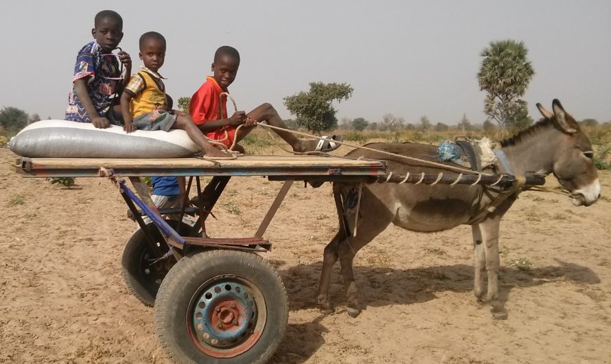 Unterstützung für das senegalesische Dorf Djilékhar